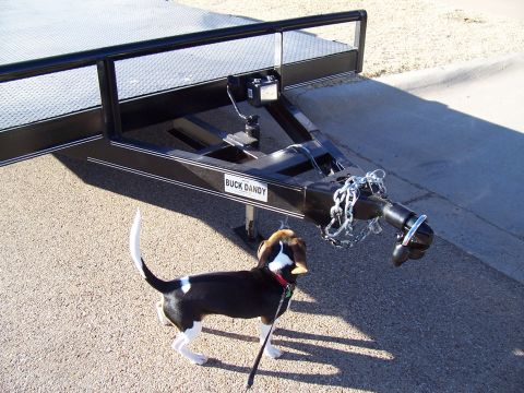 2004 Aston Martin Virage - A beagle dog stands next to a trailer hitch assembly with a visible brand name.