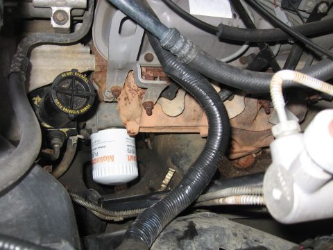 1967 Ford Mustang - Close-up view of engine components, including an oil filter and power steering fluid reservoir.