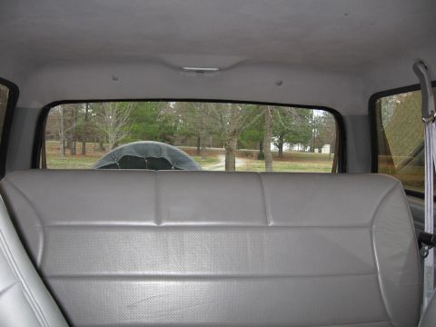 1967 Ford Mustang - View from the back seat of an SUV, looking out through the rear window at a wooded area.