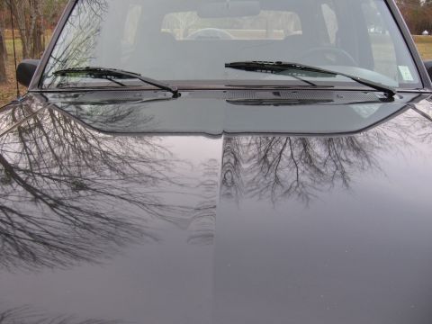 1967 Ford Mustang - The reflection of trees on the hood and windshield of a dark-colored SUV is visible.