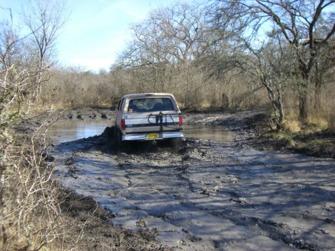 1996 Ford Bronco - This photo of the Beast was taken by Georgia. http://s110.photobucket.com/albums/n116/hemi_powered4x4/Buckholts%20Jan%2012%20and%2013/