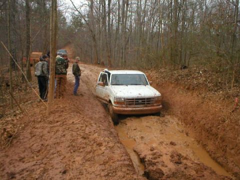 1993 Ford F-150 photo