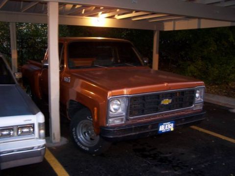 1979 Chevrolet C/K Pickup - 1979 Chevrolet C/K Pickup truck with a blue license plate is parked under a carport.