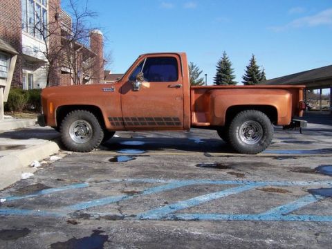 1979 Chevrolet C/K Pickup - Side view of a 1979 Chevrolet C/K Pickup truck in an outdoor parking lot.