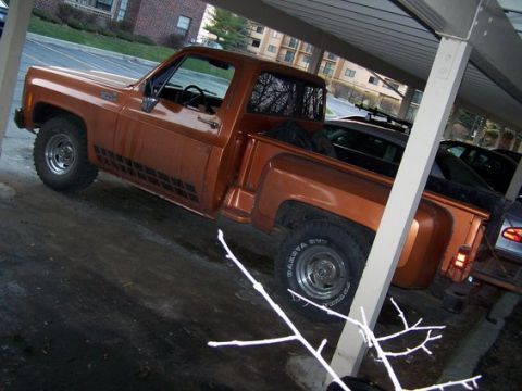 1979 Chevrolet C/K Pickup photo