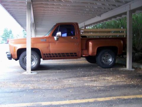 1979 Chevrolet C/K Pickup photo