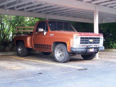 1979 Chevrolet C/K Pickup photo