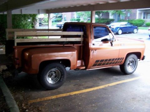 1979 Chevrolet C/K Pickup photo