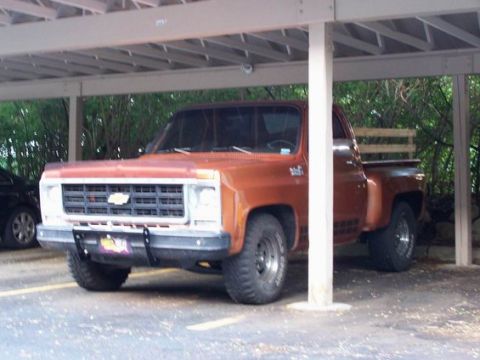 1979 Chevrolet C/K Pickup photo