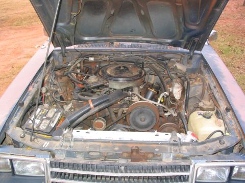 1984 Ford LTD photo