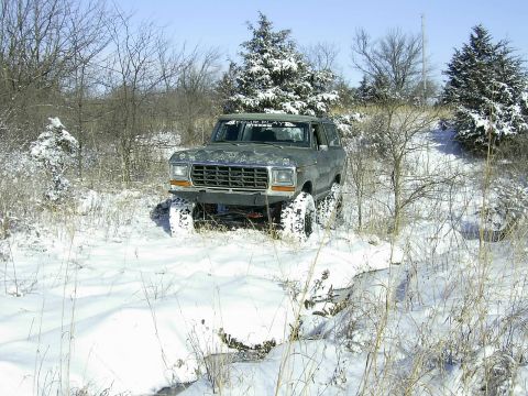 1978 Ford Bronco - A 1978 Ford Bronco navigates a snowy trail surrounded by winter vegetation.