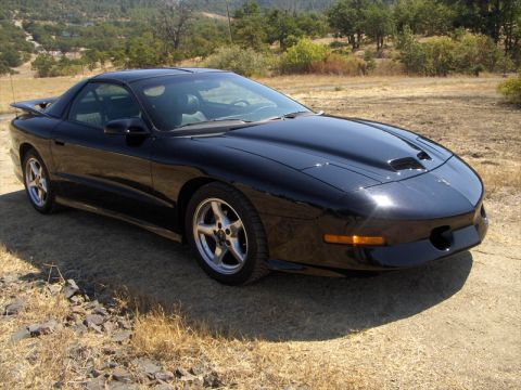 1997 Pontiac Trans Am - This black Pontiac Firebird is parked outdoors on a dirt road, with a wooded hillside behind it.