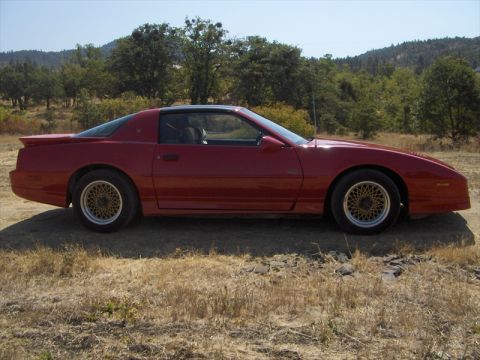1989 Pontiac Trans Am - A red Pontiac Firebird is shown from the side, parked outdoors on a dry, grassy area.