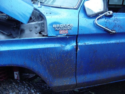 1979 Ford Bronco - The stump said hello on the way down.