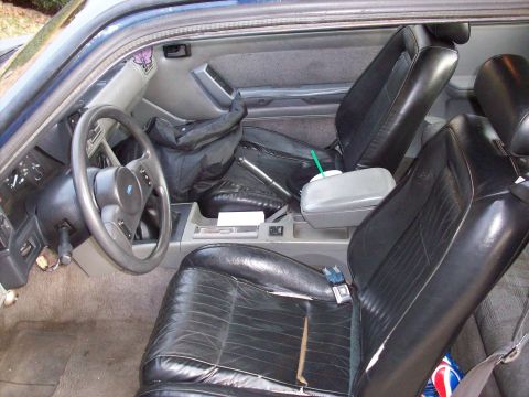 1989 Ford Mustang - Interior view of a 1989 Ford Mustang, highlighting the seats and dashboard details.