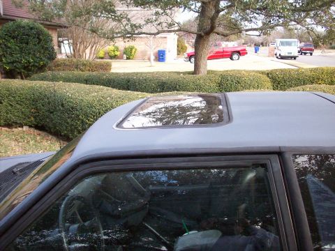 1989 Ford Mustang - A view of a car's sunroof and interior, with a residential street scene in the background.