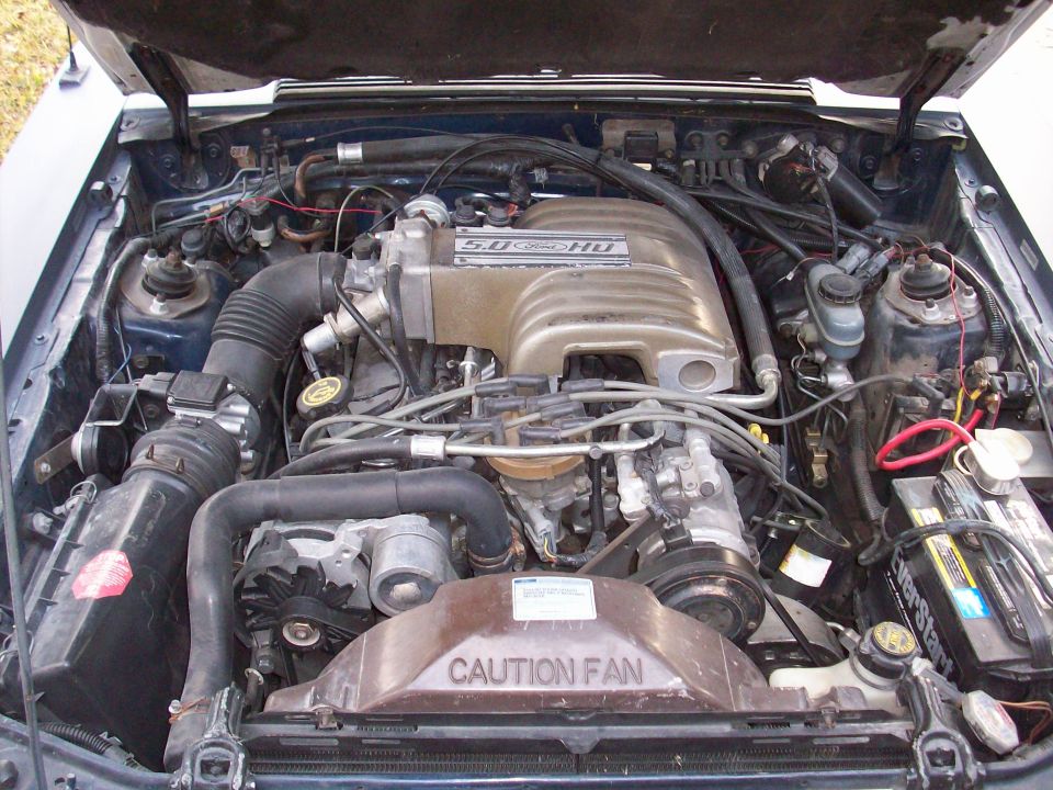 Ford 5.0 HO engine bay with intake manifold and fan shroud visible