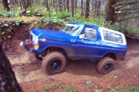 1979 Ford Bronco - Sounded like body damage. (A "Crazed" pic)
