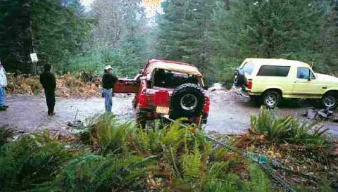 1979 Ford Bronco - Chained up Wildhorses to help w/ the winching.