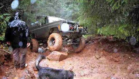 1979 Ford Bronco - Like a rock.