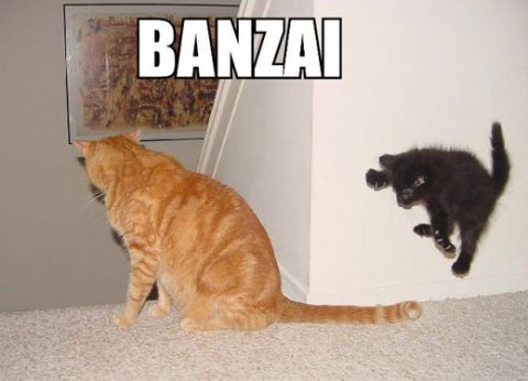1988 Mercury Grand Marquis - Two cats interact in a room, with the word "BANZAI" displayed overhead.