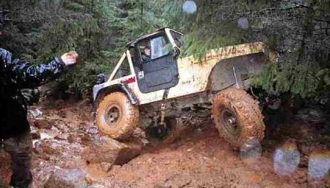 1979 Ford Bronco - Nice arc.