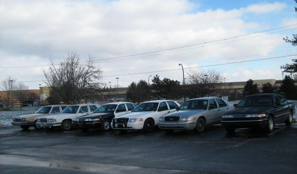 line of police cars parked in a lot
