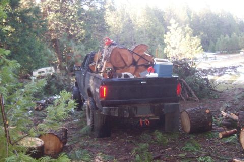 1994 Ford F-150 - Pickup truck loaded with logs and a cooler, parked in a wooded area with felled trees.