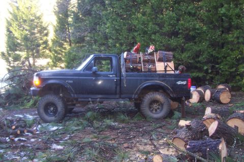 1994 Ford F-150 - A black Ford F-150 pickup truck is parked in a forest clearing, loaded with cut logs and a chainsaw.