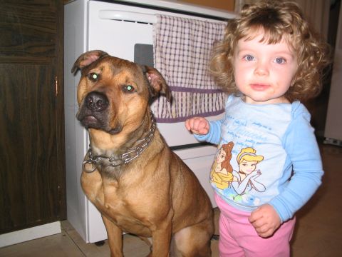2001 Ford Crown Victoria - A dog and a child pose for a photo in what appears to be a kitchen.