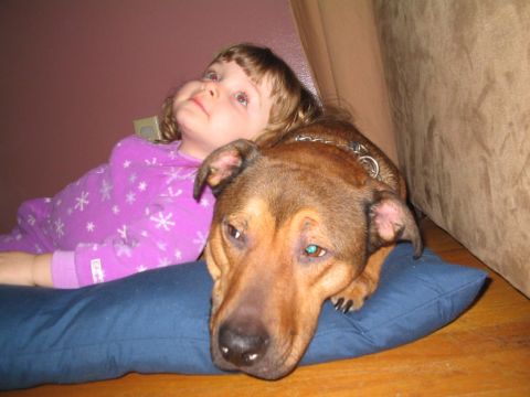 2001 Ford Crown Victoria - A dog and a young child relax together on a pillow, with the dog's head resting comfortably beside the child.