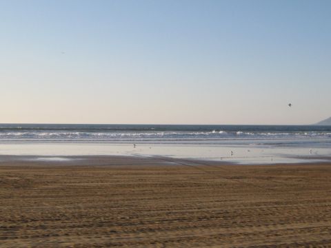 1996 Ford Bronco - A tranquil beach scene with the ocean meeting the shore under a clear blue sky.