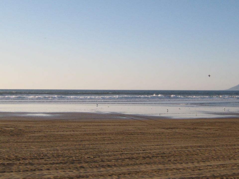 Beach with gentle waves, wet sand reflecting the sky, and tire tracks on dry sand
