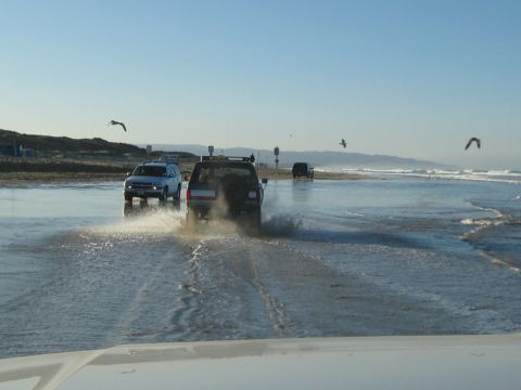 1996 Ford Bronco - SUVs driving on the beach, kicking up water as they go.