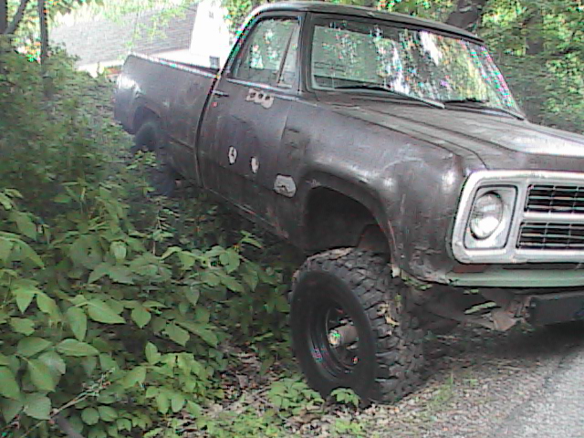 Lifted brown primer Dodge pickup on mud-terrain tires beside overgrown gravel driveway