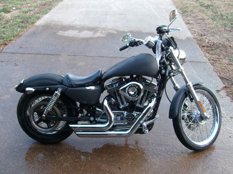 2006 Harley-Davidson Sportster Custom “Sin D Sue”