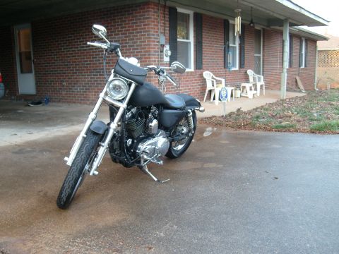2006 Harley-Davidson Sportster Custom “Sin D Sue”
