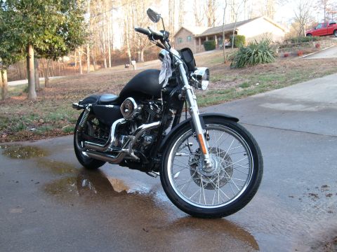 2006 Harley-Davidson Sportster Custom “Sin D Sue”