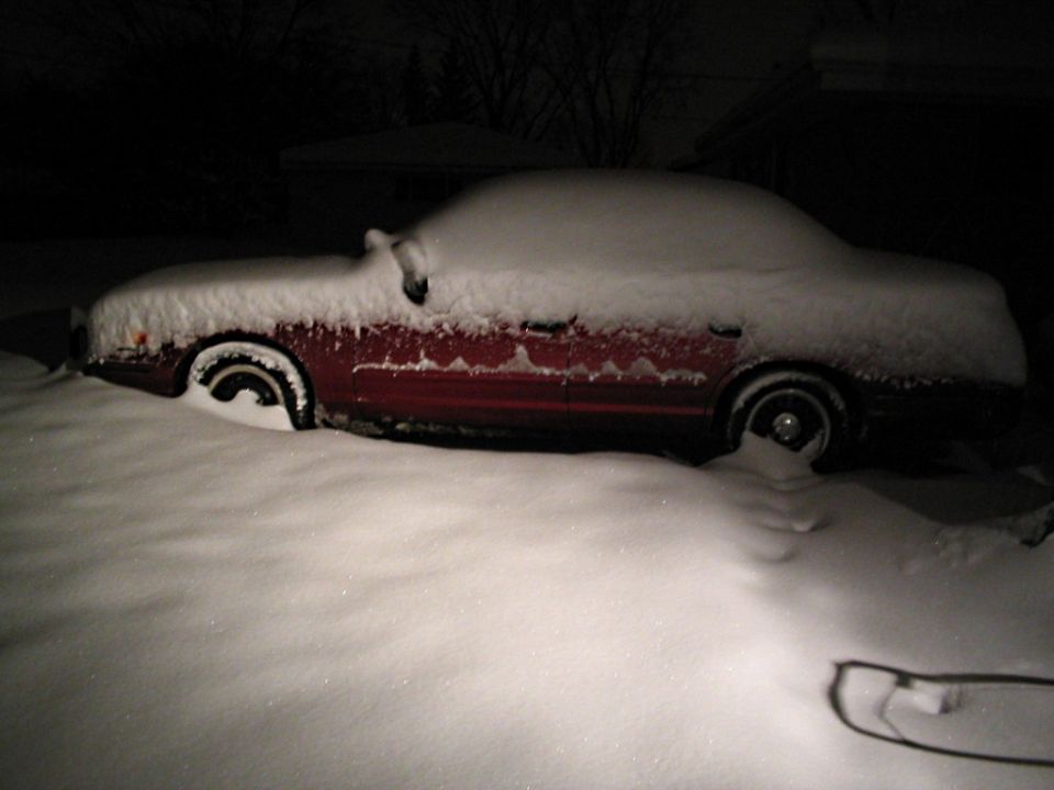 10 inches of snow on my baby!