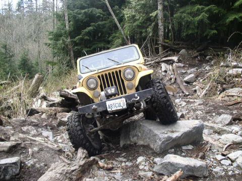 1979 Ford Bronco - Hips Ford CJ7