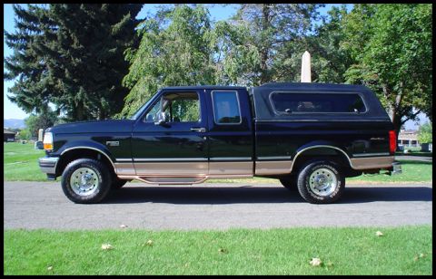 1995 Ford F-150 photo