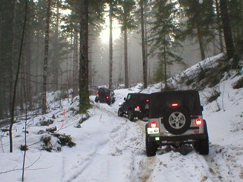 2005 Jeep Wrangler - Multiple Jeep Wranglers navigate a snow-covered forest trail, with the lead vehicle towing a trailer.