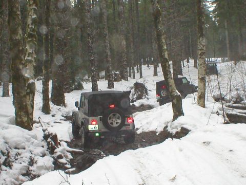 2005 Jeep Wrangler - Multiple Jeep Wranglers navigate a challenging snowy and muddy path in a wooded area.