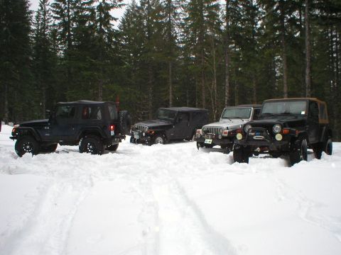 2005 Jeep Wrangler - Several Jeep Wranglers are parked in a snowy forest clearing, with tire tracks visible in the snow.