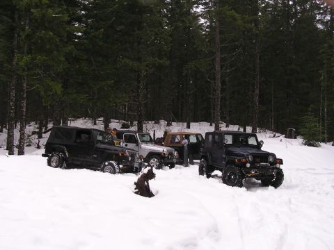 2005 Jeep Wrangler - Several Jeep Wranglers are stuck in the snow during a winter outing in a wooded area.