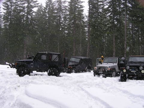 2005 Jeep Wrangler - Several Jeep Wranglers parked in a snowy forest during a winter outing.