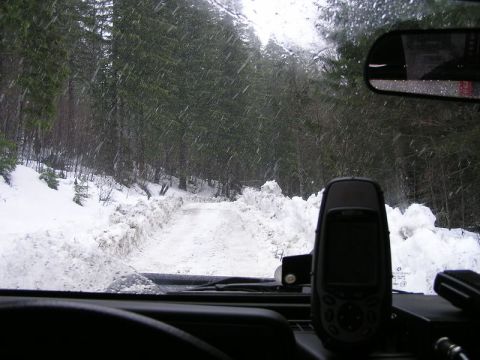 2005 Jeep Wrangler - Driving through a snowy forest road, the view from inside the vehicle shows a challenging path ahead.