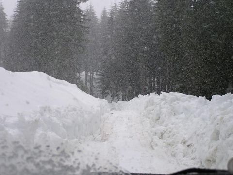 2005 Jeep Wrangler - A snow-covered road winds through a dense forest during a heavy snowfall.