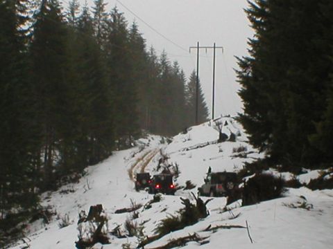2005 Jeep Wrangler - Multiple Jeeps navigate a snowy forest road, with tire tracks visible in the snow.