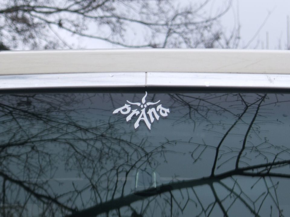 White prAna butterfly vinyl decal at top of windshield with chrome trim above